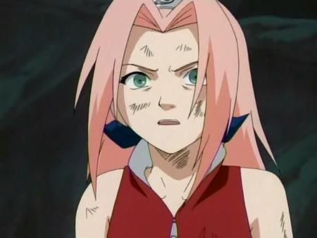 Sakura005