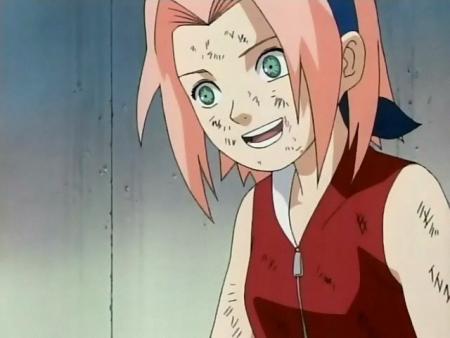 Sakura007