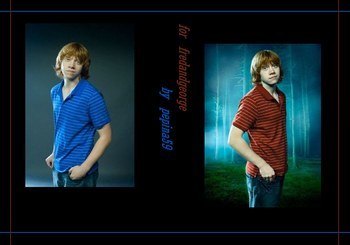 bleu ou rouge?